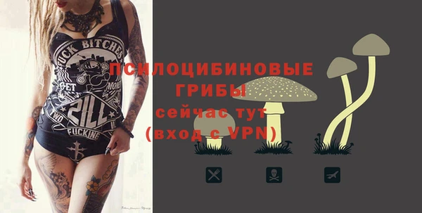 2c-b Богданович