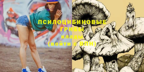 ПСИЛОЦИБИНОВЫЕ ГРИБЫ Михайловск