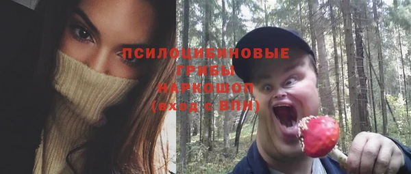 таблы Богородск