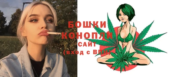 2c-b Богданович