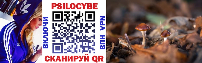 кракен сайт  даркнет сайт  Бронницы  Псилоцибиновые грибы Psilocybe 