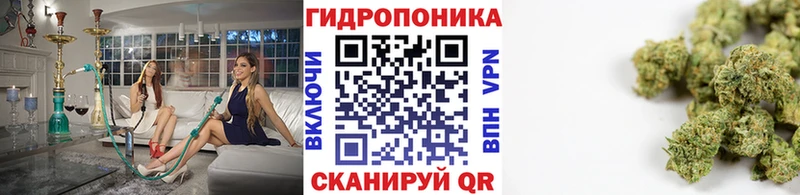 Конопля индика  кракен ONION  Бронницы 